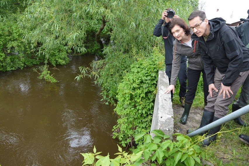 Premier nad rozlewiskiem Łęgu w Rudzie Bojanowskiej