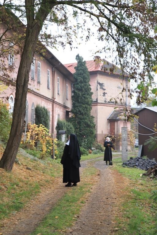 Siostry benedyktynki ze Staniątek sprzedają chryzantemy,...