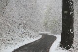 Idzie zima zła! W Górach Opawskich spadł pierwszy śnieg w tym sezonie