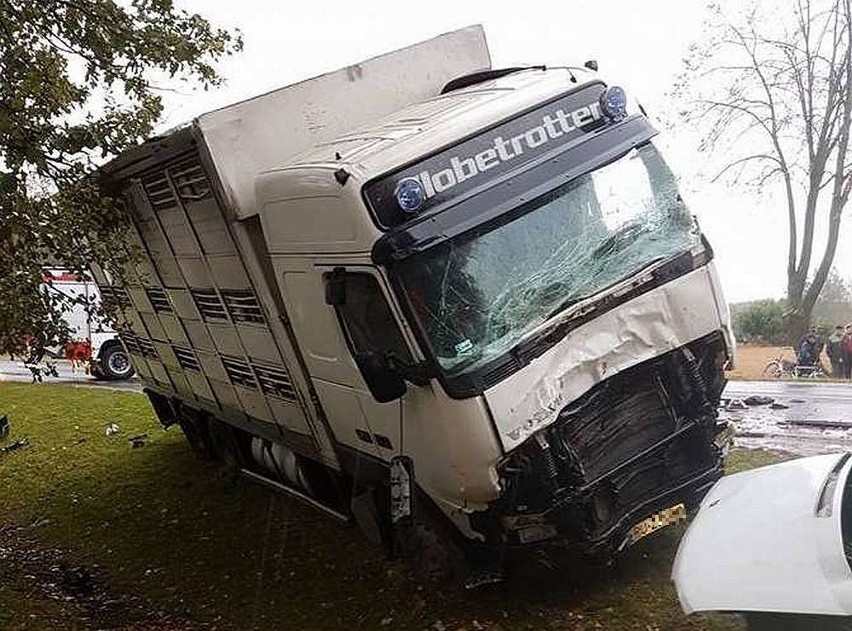 Wypadek w Janowie. W zderzeniu busa z ciężarówką zginęły dwie osoby. To mieszkańcy Lublina