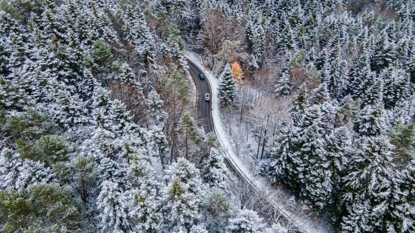 Pierwsze oznaki zimy w pięknym rezerwacie przyrody Prządki koło Krosna [ZDJĘCIA]