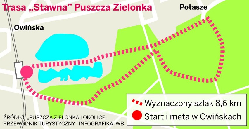 Nordic walking ma tę zaletę, że uprawiać można go właściwie...