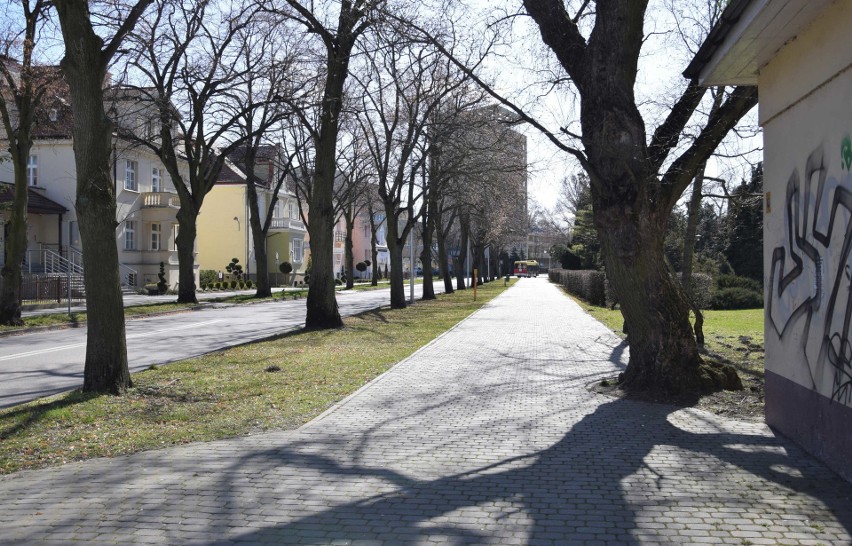 Koronawirus opustoszył alejki w inowrocławskim Parku...