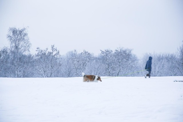 Pogoda na weekend dla Krakowa. Minusowe temperatury i duże opady śniegu