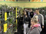 Trwa Festiwal Roślin w Radomiu. Mnóstwo kupujących i zwiedzających [ZDJĘCIA]