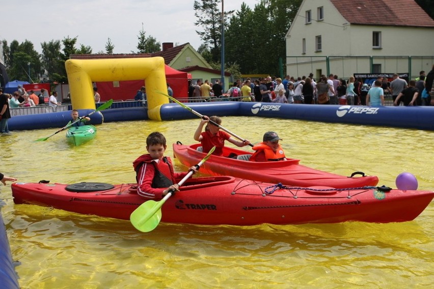 Festyn dla Kajetana Świtonia