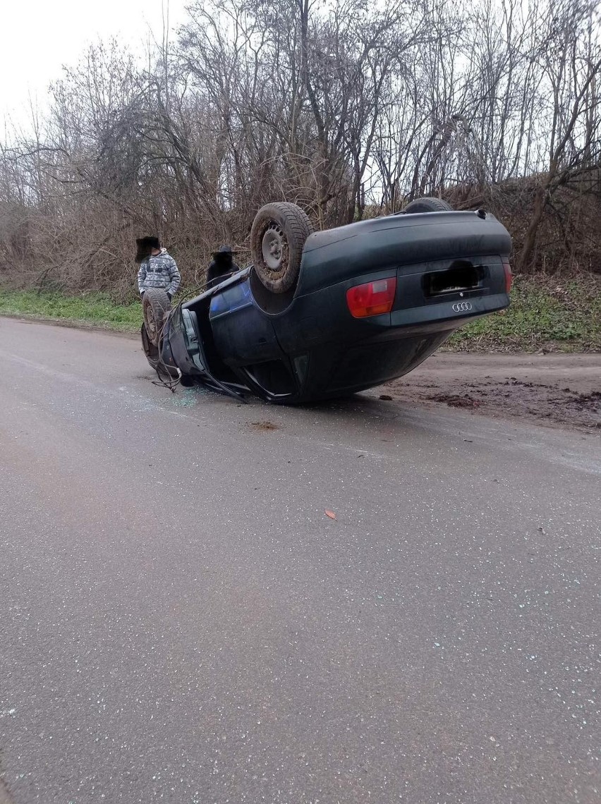 Dachowanie w Jędrzejowicach