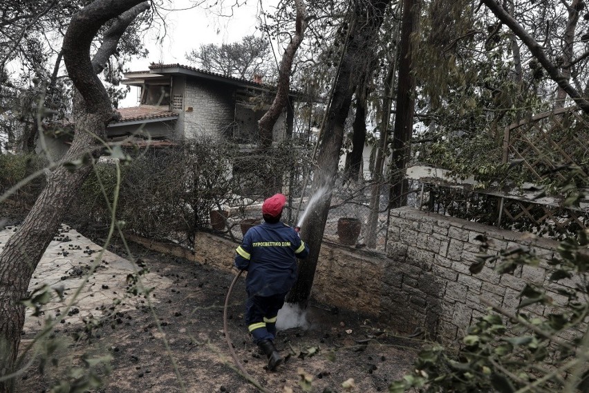 Pożary w Grecji. Jest ponad 60 ofiar śmiertelnych, w tym dwie osoby z Małopolski