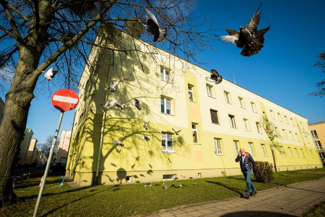 Bydgoski ratusz analizuje po sądowym wyroku możliwość wykupy mieszkań m.in. w bloku przy u. Baczyńskiego 12 na Kapuściskach.