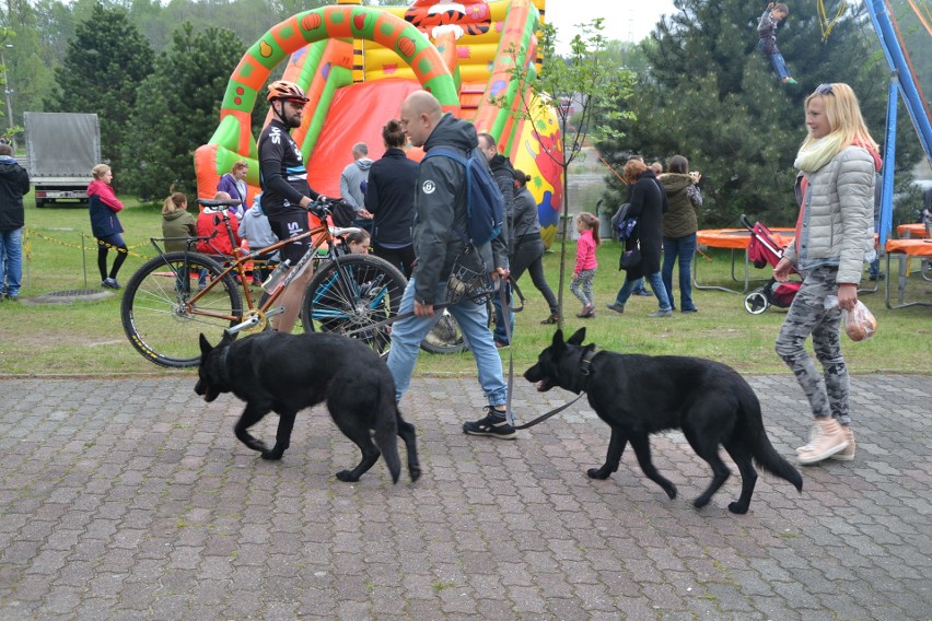 Tłumy na wystawie psów w Rybniku-Kamieniu GALERIA