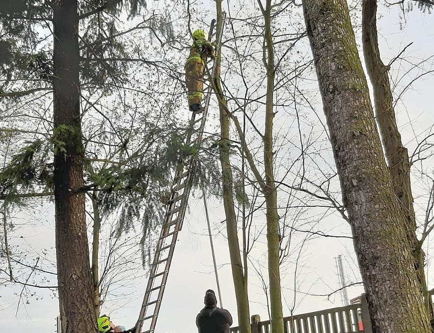 Było późne popołudnie (13 kwietnia), kiedy strażacy ze...