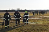 Pożar w Biebrzańskim Parku Narodowym. Spaliło się 15 hektarów powierzchni łąk i trzcinowisk [ZDJĘCIA]