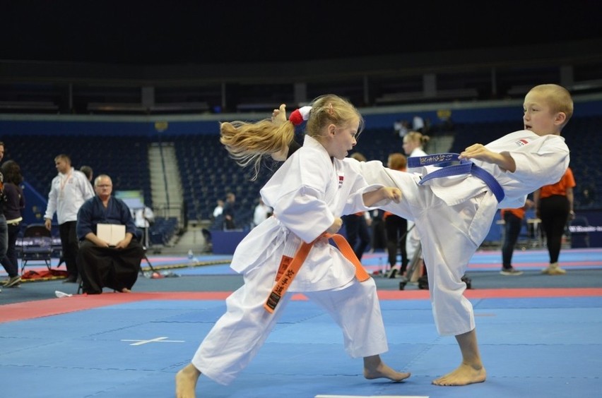 Sukcesy karateków w Wilnie