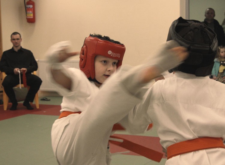 Gwiazdkowy Turniej Karate