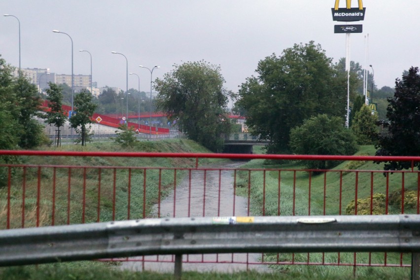 Pogodowy armagedon w Lublinie i okolicach. Strażacy cały czas pracują, aby drogi były przejezdne. Zobacz