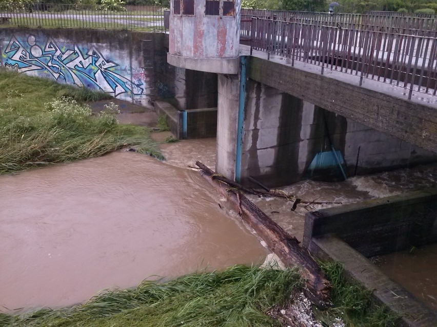 Zdjęcie zostało zrobione na moście łączącym ul .Dzierżawną i...