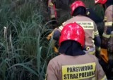 Akcja ratownicza w Rezerwacie Ścisłym Białowieskiego Parku Narodowego. Strażnicy i strażacy ratowali migranta na bagnach
