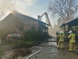 Proszówki. Pożar w ośrodku jeździeckim w Proszówkach, spłonęły dwa konie, siedem zwierząt udało się uratować
