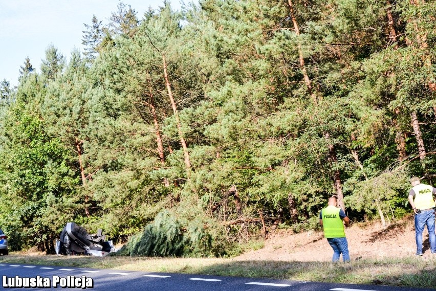 Ponad 40 funkcjonariuszy Policji, Straży Leśnej, Straży...