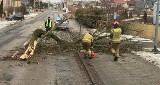 Nadal mocno wieje w naszym regionie! Porywy wiatru do 100km/h! Interweniowały służby.