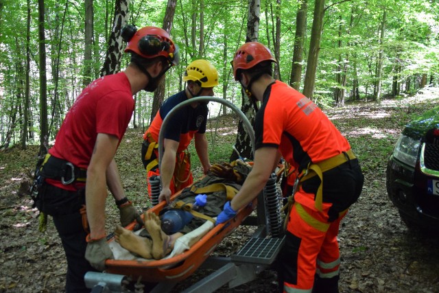 Wspólne ćwiczenia ratowników grupy jurajskiej GOPR oraz pogotowia ratunkowego w Sosnowcu oraz w Katowicach.Zobacz kolejne zdjęcia. Przesuwaj zdjęcia w prawo - naciśnij strzałkę lub przycisk NASTĘPNE