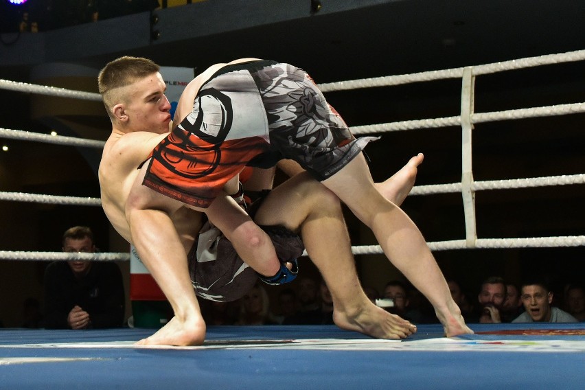 MMA Cup