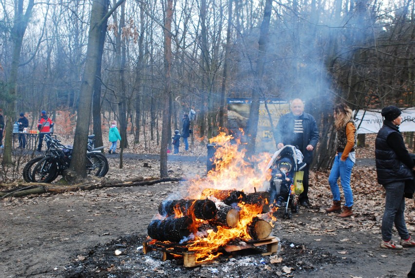 Panewnicki Bieg Dzika. Biegły tłumy ZDJĘCIA