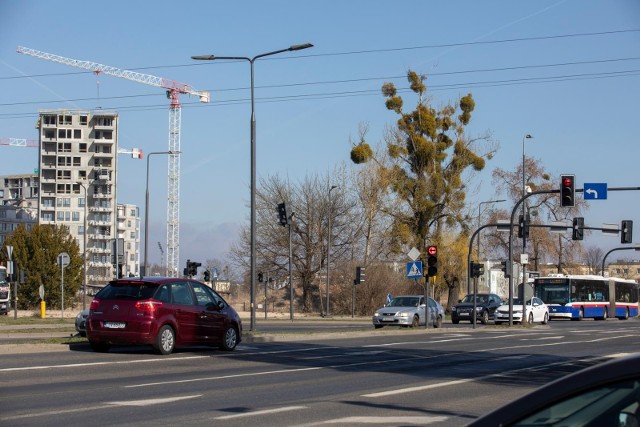 Jemioła rzuca się w oczy zwłaszcza wczesną wiosną, zanim drzewa wypuszczą liście jej zieleń jest wyraźnie widoczna pośród konarów.