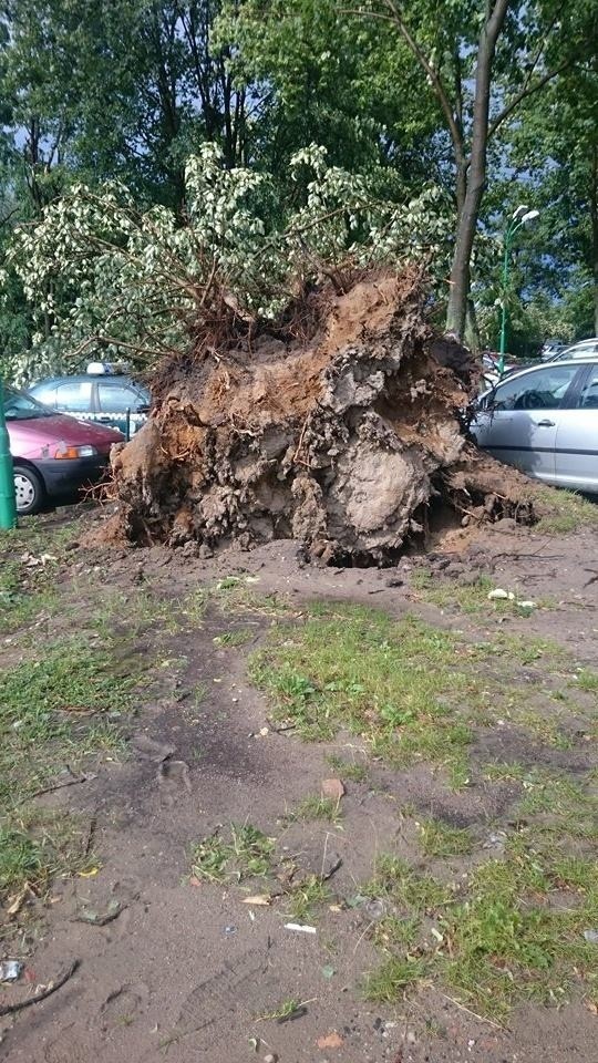 Burza w Poznaniu: Brak prądu, połamane drzewa, zalane...