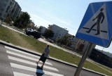 Po apelach „Nowości” na trasie średnicowej w Toruniu pojawiło się tymczasowe przejście dla pieszych
