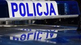 Wypadek na trasie Kraśnik-Annopol. Jedna osoba ranna, samochód zderzył się ze zwierzęciem