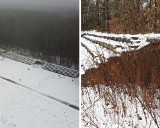 Wycinka drzew na Górze Chełmskiej budzi emocje. Tak wygląda stadion z drogą za 5 mln zł [ZDJĘCIA, WIDEO]