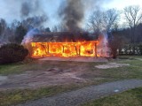 Pożar w leśniczówce w Zielonym Borze. Ogień gasiło pięć zastępów straży. Spłonęła wiata z drewnem i samochód