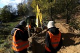 Kraków. Tym razem IPN poszukuje szczątków ofiar na Glinniku w Przegorzałach [ZDJĘCIA]