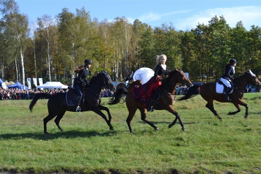 Hubertus 2014. Jeźdźcy z całego regionu opanowali zamkowe...