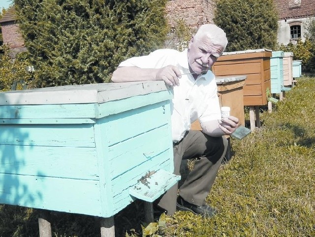 Stanisław Kamiński pszczoły ma w genach. To rodzinna tradycja. Dziś opiekuje się 70 pszczelimi rodzinami. Syn pana Stanisława ma kolejnych siedem uli. Rodzina Kamińskich z produkcji miodu znana jest w całej okolicy.