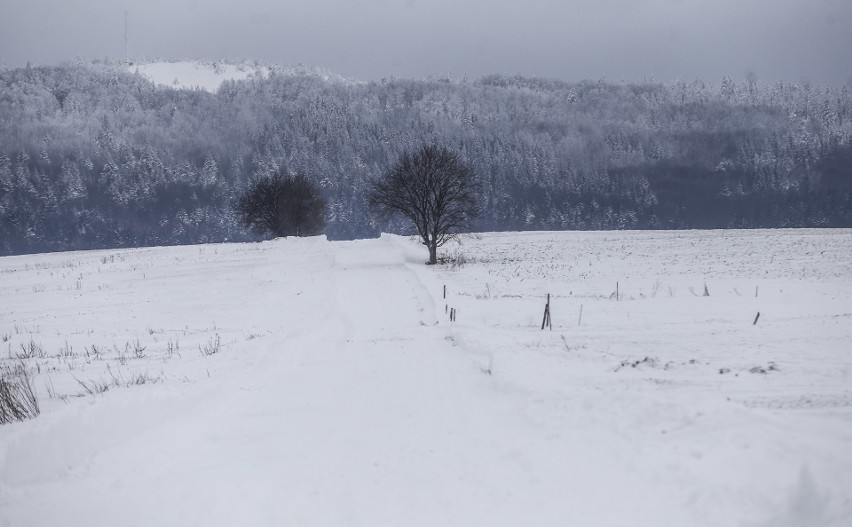 Piękne Bieszczady w zimowej szacie.