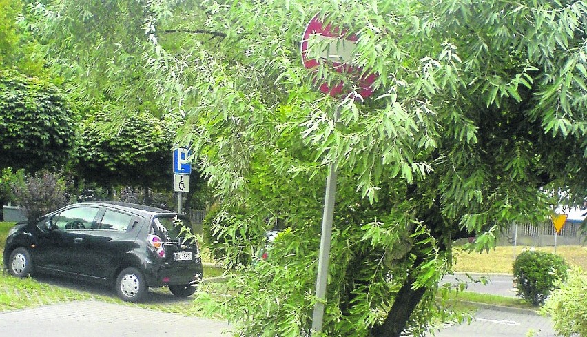 Przykład fatalnego, często absurdalnego oznakowania dróg....