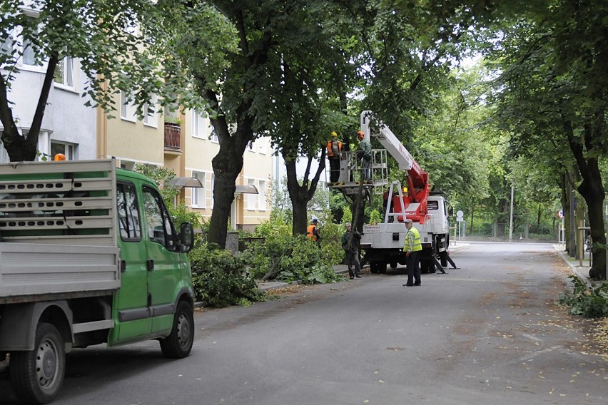 -  To zwyczajne prześwietlenie drzew, czyli  przycięcie...