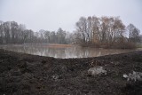 Sulechów. Płocie już pływają w stawie. Można będzie łowić bez karty wędkarskiej, ale jest jeden warunek. Jaki? 