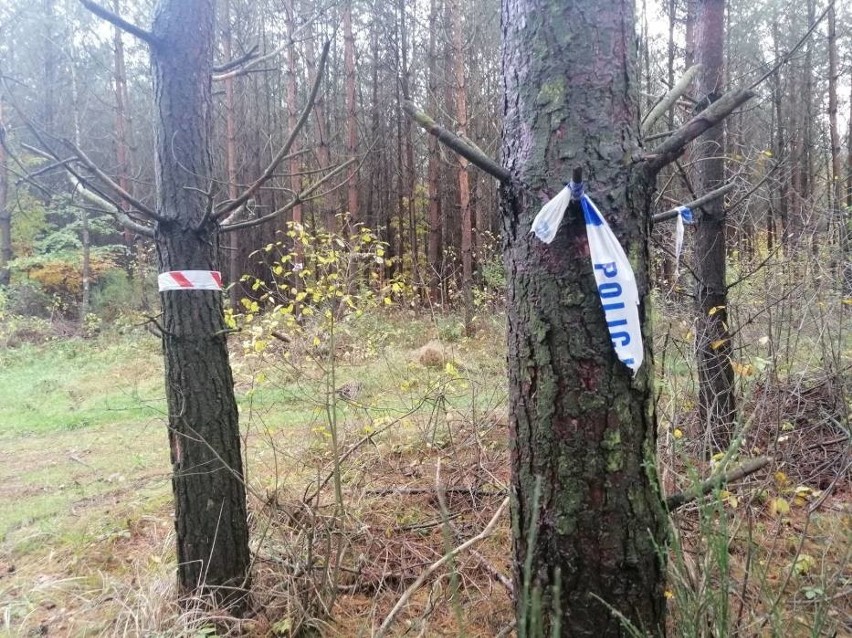 Prokuratura Okręgowa w Szczecinie przekazuje kolejne...