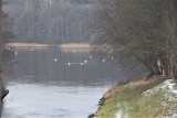 Jezioro Krzynia zimą. Cisza, czyste powietrze i piękne widoki [ZDJĘCIA]