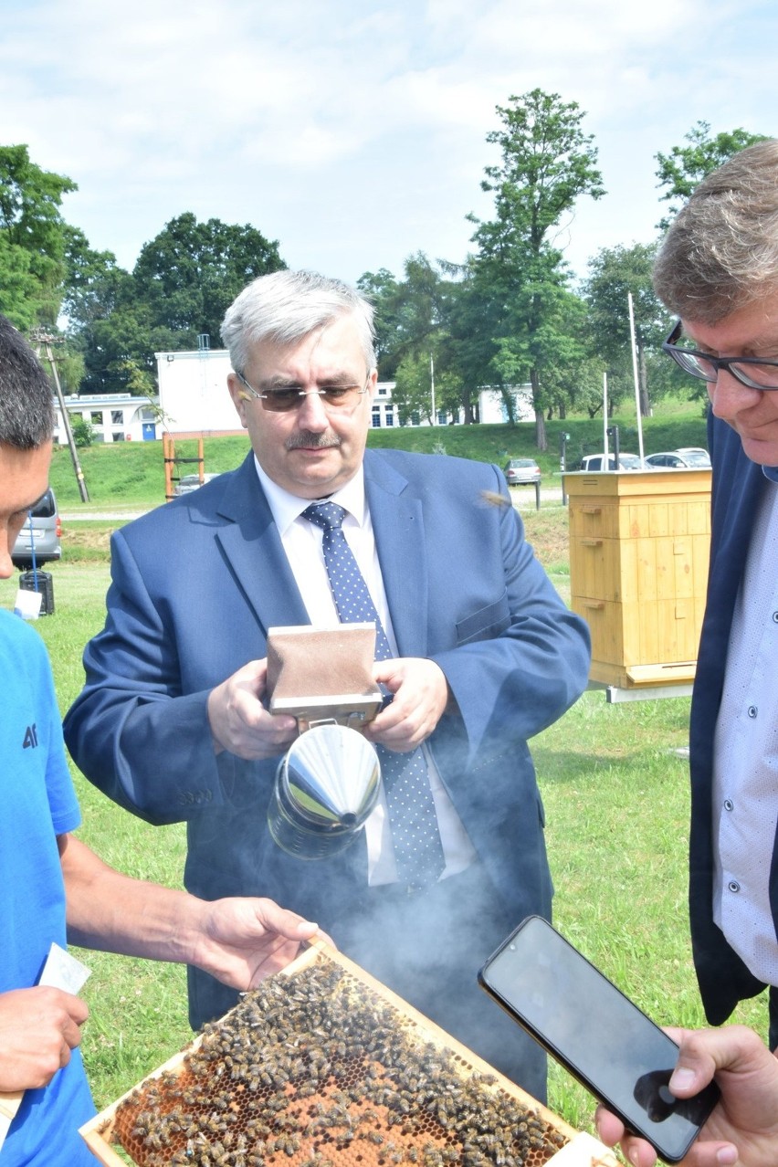 Miód z pasieki na osiedlu Zwięczyca  będzie rozdawany...