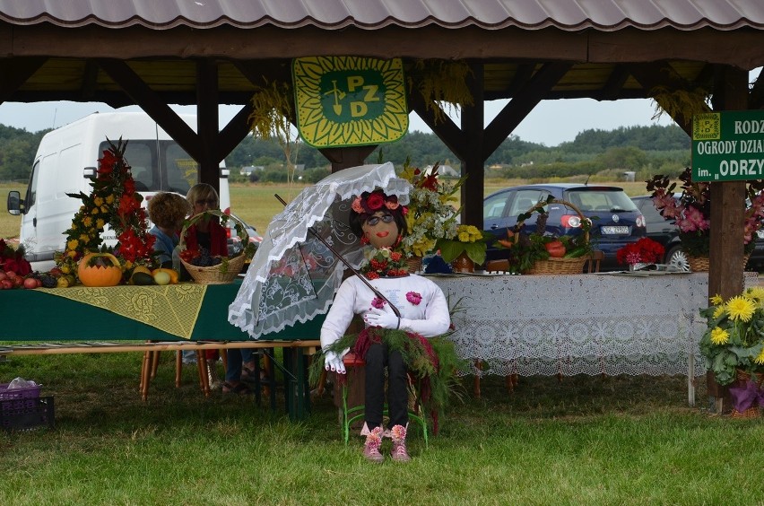 Święto plonów w Gminie Głogów