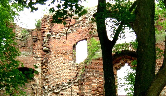 Ruiny zamku rodu von Dewitz w Dobrej Nowogardzkiej.