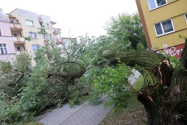 wichura w Toruniu

Gałczyńskiego