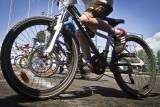 Drogowcy analizują oferty spółek, które chcą uruchomić wypożyczalnię rowerów