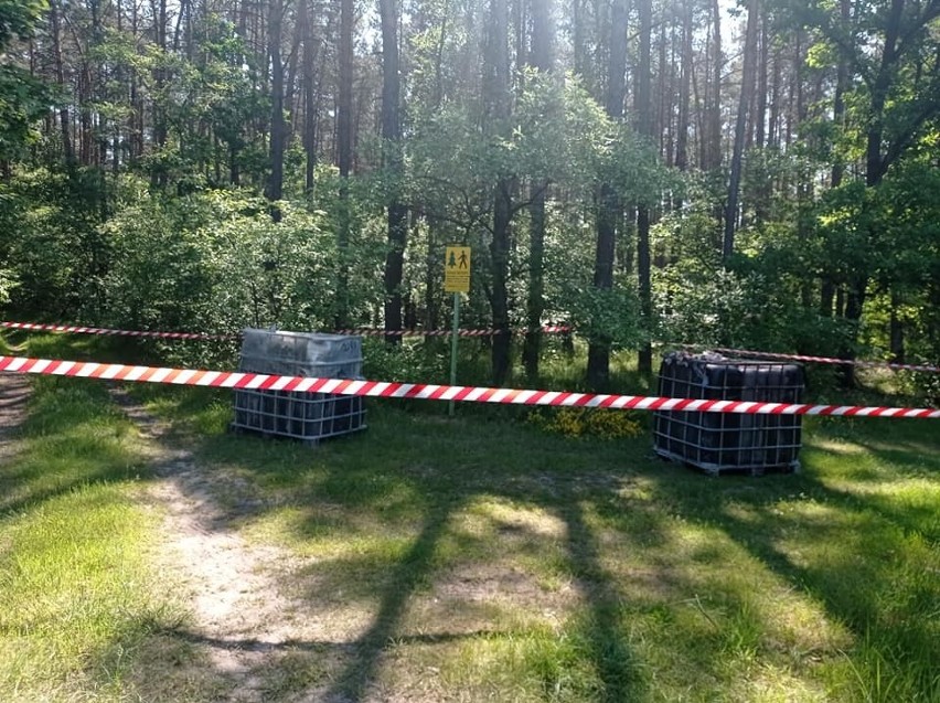 Ktoś podrzucił odpady chemiczne w lasach Nadleśnictwa Gniewkowo. Zobaczcie zdjęcia