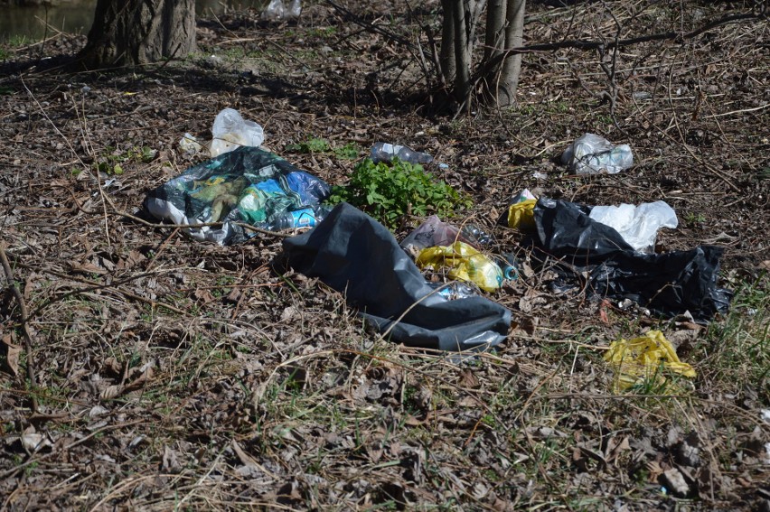 Proszowice. Wstydliwy zakątek przy wjeździe do parku miejskiego