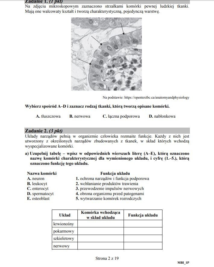 BIOLOGIA 2019 ARKUSZE CKE MATURA 2019 Z BIOLOGII ARKUSZE CKE